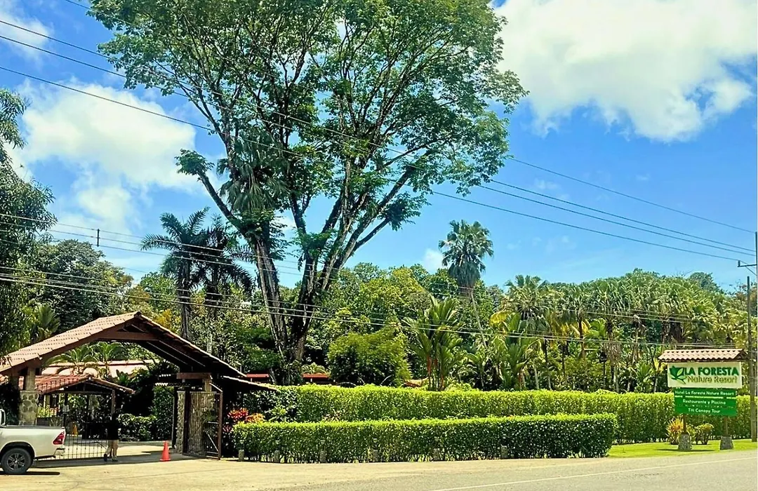 La Foresta Nature Resort-1