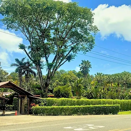 La Foresta Nature Resort-2